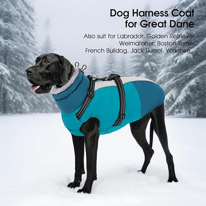 SUNFURA Large Dog Coat with Harness Built in, Warm Dog Jacket Waterproof Pet Winter Coat Snowsuit for Cold Weather, Reflective Fleece Jacket for Large Dogs, Border Collie, Turquoise XL
