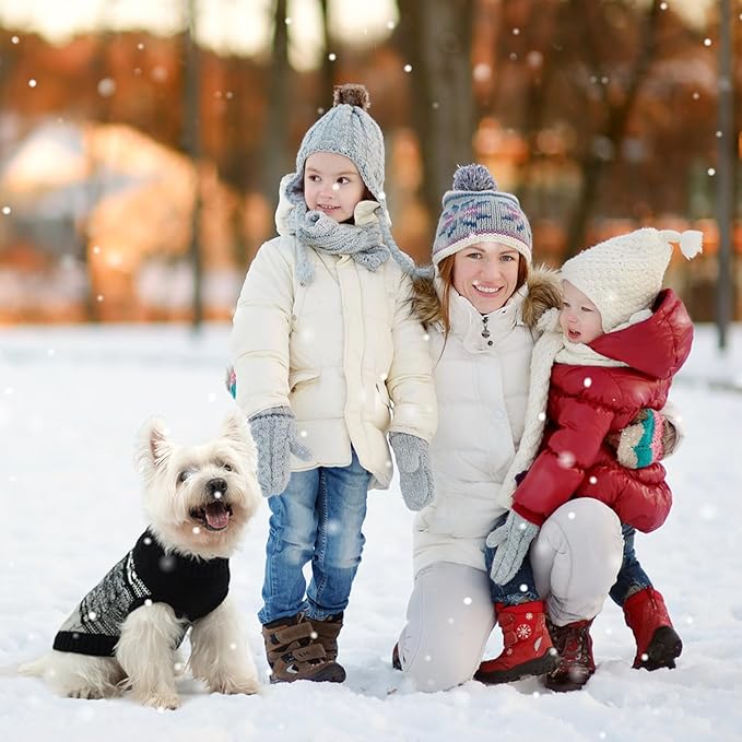 Mihachi Soft Warm Dog Sweater, Cold Weather Turtleneck Knitted Pullover Dog Clothes Costume with Leash Hole for Cats & Puppies, Black S