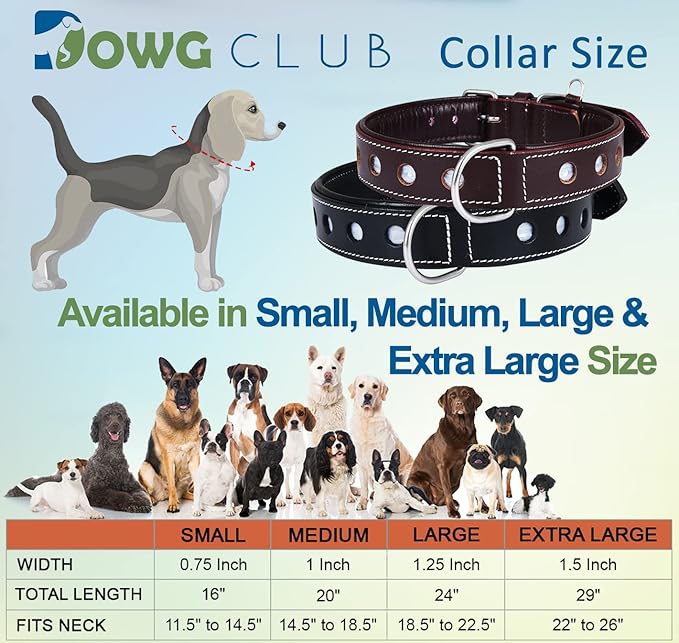 | Genuine Leather Dog Collar | Full Grain, Heavy Duty | Comfortable, Padded, Strong | Best for Pups, Small, Medium, Large & XL Breeds (Large (Fit Neck Size 18.5"-22.5"), Garnet)