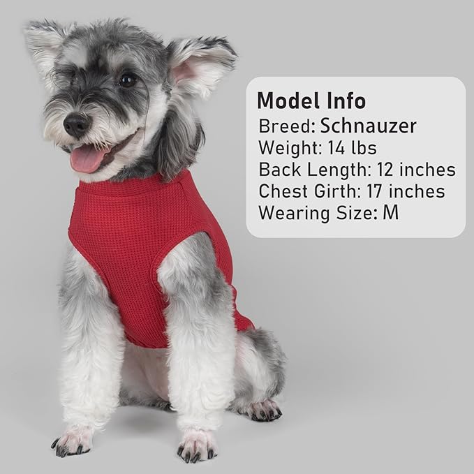 KYEESE 2Pack Waffle Dog Shirts for Small Dogs Stretchy T-Shirts Lightweight Tank Top Sleeveless Striped Vest Breathable Cat Tee, Medium, Red+Striped