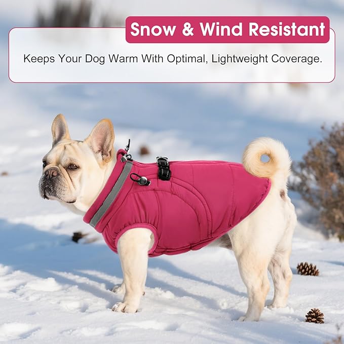 SAWMONG Dog Coat, Warm Dog Winter Coat, Waterproof Fleece Jacket, Cold Weather Dogs Jacket (2XL,Rosered)