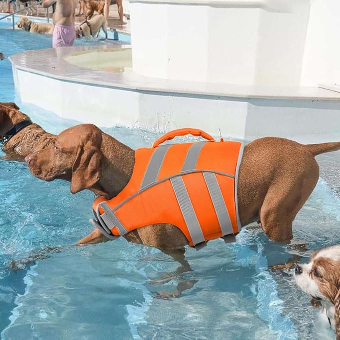 Kuoser Reflective Dog Life Jacket, Adjustable High Visibility Vest with Ripstop Material for Small, Medium & Large Dogs