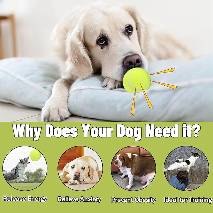 Magicorange Squeaky Tennis Ball Dog Toys 4 inch Oversize Giant Tennis Ball for Fetch Exercise, Natural Rubber Squeaky Dog Balls Training Safe (Multicolor, 4 Pack)