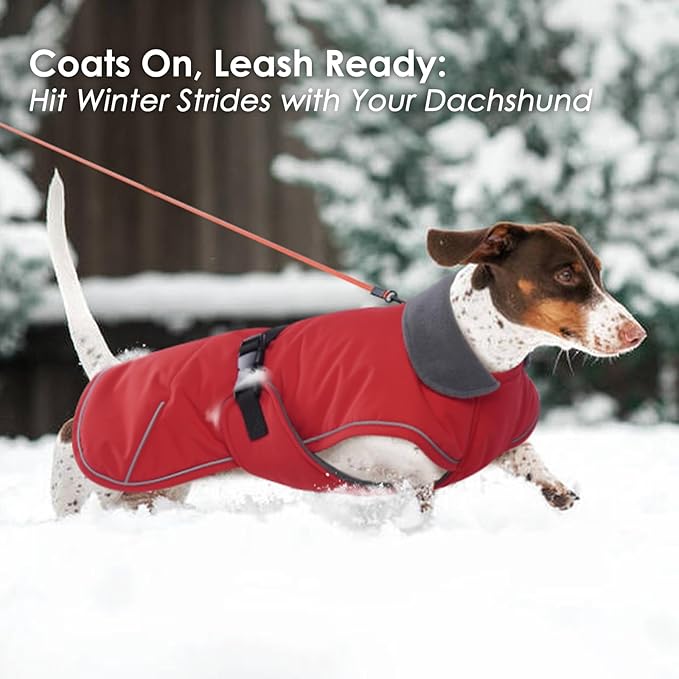 Dog Coat Perfect for Dachshunds - Red, Large - Waterproof Winter Coat With Built-in Harness, Warm Christmas Outdoor Apparel, Adjustable Buckle Closure