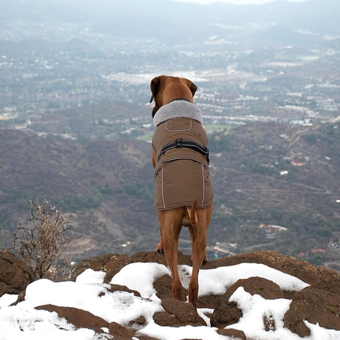 Lelepet Warm Dog Coats for Small Dogs Waterproof Dog Jacket Reflective Pet Fleece Vest Windproof Cold Weather Coats with Adjustable Buckle & Leash Hole, Turtleneck Doggy Snowsuit, Brown, S