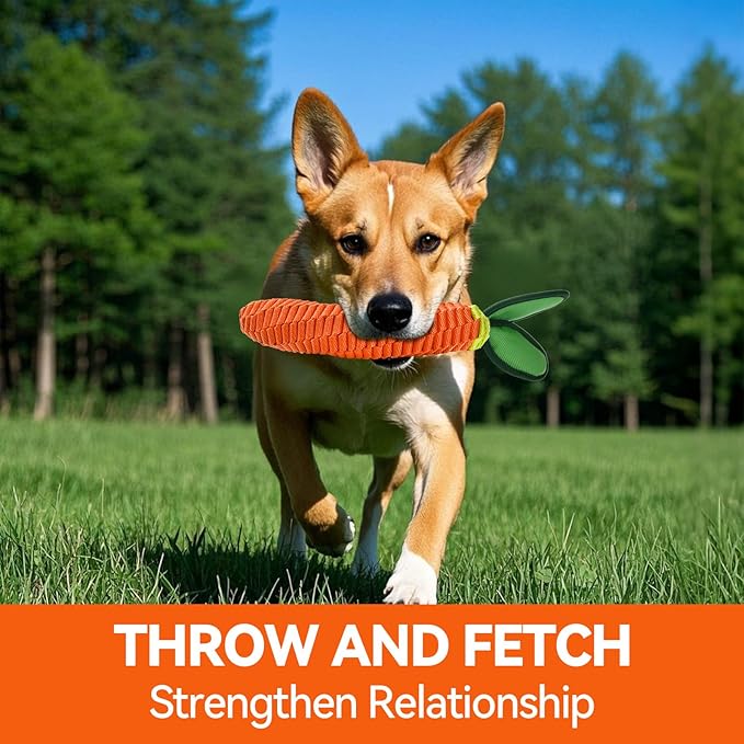 AUSCAT Carrot Dog Rope Toy, Durable Tug of War Toy with Squeaker, Braided Teething Toys for Small Medium Large Dogs