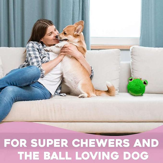 Flourish Pets 2 in 1 Multi-Layer Chew Toy for Active Dogs | Non-Toxic BPA Free Double Stitched Soft Fabric Exterior Dog Toys | Long-Lasting Dog Plush Toys β Love Frog 3.5"