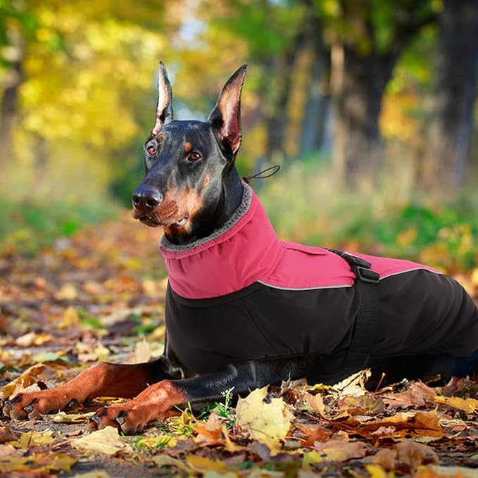 IDOMIK Dog Winter Coat, Reflective Waterproof Dog Jacket for Cold Weather, Warm Pet Coats for Small Medium Large Dogs, High Collar Doggy Fleece Snow Jacket, Winter Vest with Adjustable Buckle,S