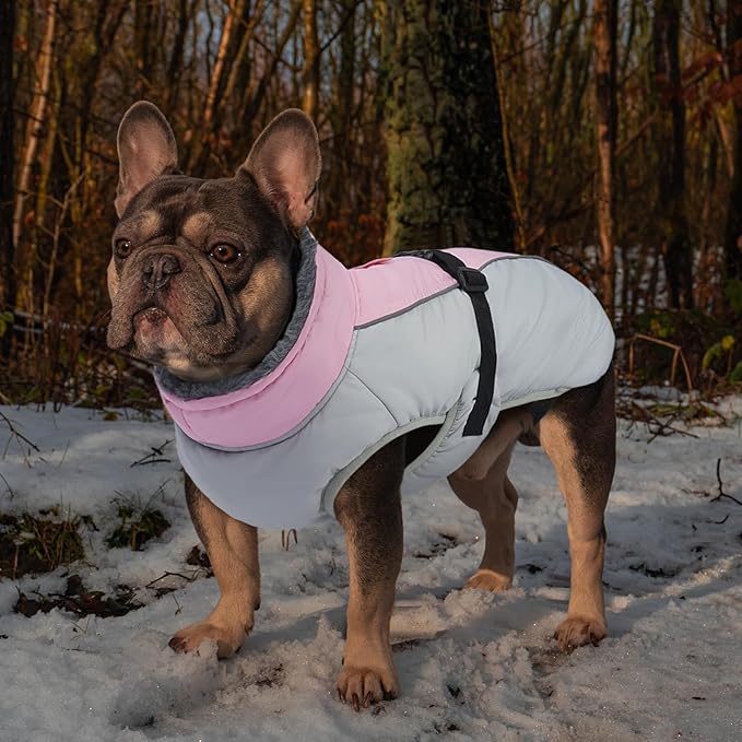 IECOii Extra Warm XXL Dog Coat - Reflective, Adjustable Dog Jacket for Cold Weather Outdoor, Waterproof Windproof Dogs Winter Jacket with Soft Fleece Lined, Machine Washable for Large Dogs, Pink, 2XL