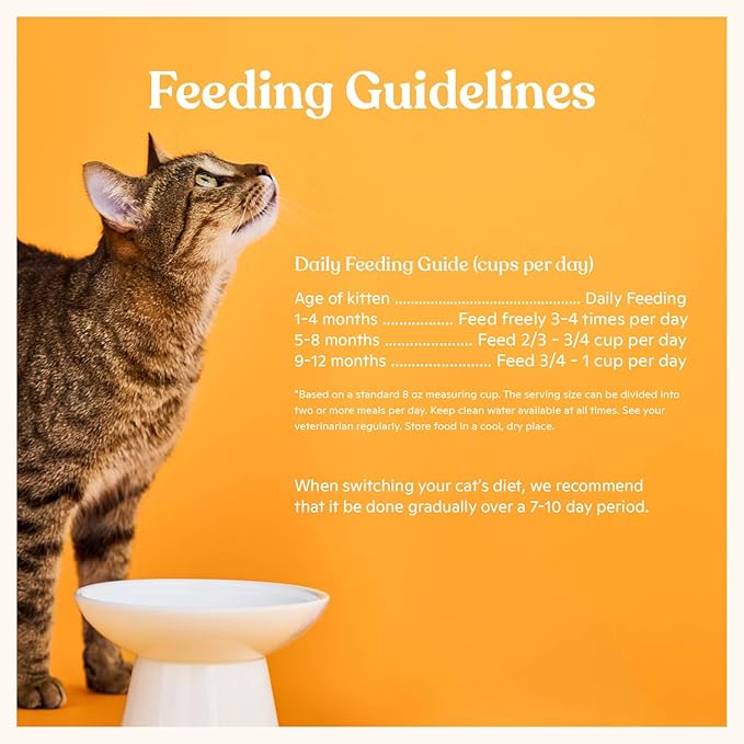 Made by Nacho Kitten Dry Kibble Infused with Bone Broth, Healthy High Protein Cat Food, Cage-Free Chicken and Chicken Liver, 4lb Bag