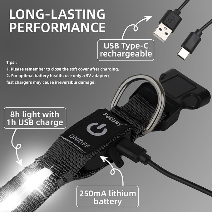 Super Bright LED Dog Collar - Fully Waterproof & Adjustable Glow Collar - USB-C Rechargeable for Night Walking, Safety - Flashing Lighted Collar for Dogs(White,Medium)