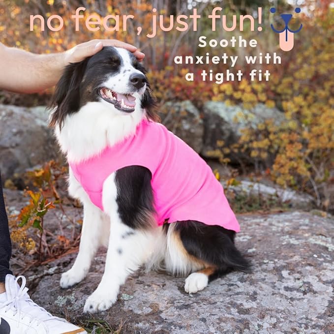 Goldpaw Stretchy Fleece Jacket for Small Dogs - Super Soft, Warm Dog Sweater - Pet Sweater Vest for Fall and Winter - Canine Clothes Made in The USA - Machine Washable - Hunter Green - Size 12