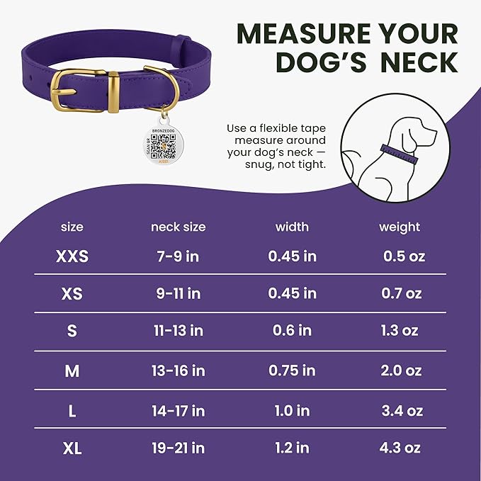BRONZEDOG Leather Dog Collar with Metal Buckle Durable Basic Pet Collars for Small Medium Large Dogs (14-17 Inch (Pack of 1), Purple & Gold Buckle)