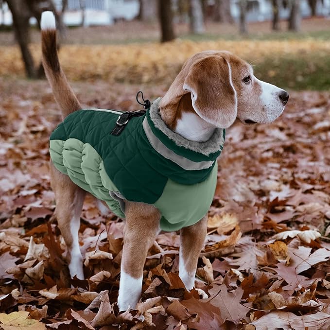 Lelepet Warm Dog Winter Coat Dog Coats for Large Dogs Waterproof Dogs Jacket with Harness Built in Reflective Cold Weather Coats Windproof Zip-Up Winter Fleece Vest Snowsuit Boxer Teal Green XL