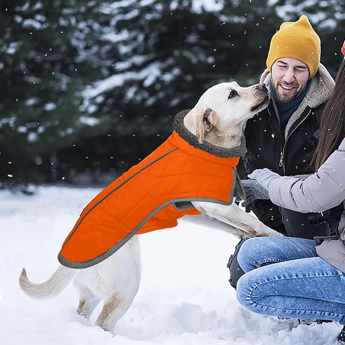 Fragralley Dog Coat Large, Waterproof Dog Jacket with Warm Fleece Lining, Adjustable Reflective Dogs Winter Coat, Turtleneck Pet Coats for Cold Weather (Orange XXL)
