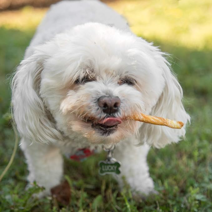 Lucky Premium Treats Peanut Butter Basted Rawhide – All-Natural Rawhide and Peanut Butter Dog Treats for Extra Small Dogs, Gluten Free Premium Toy Breed Dog Treats (50 Chews)