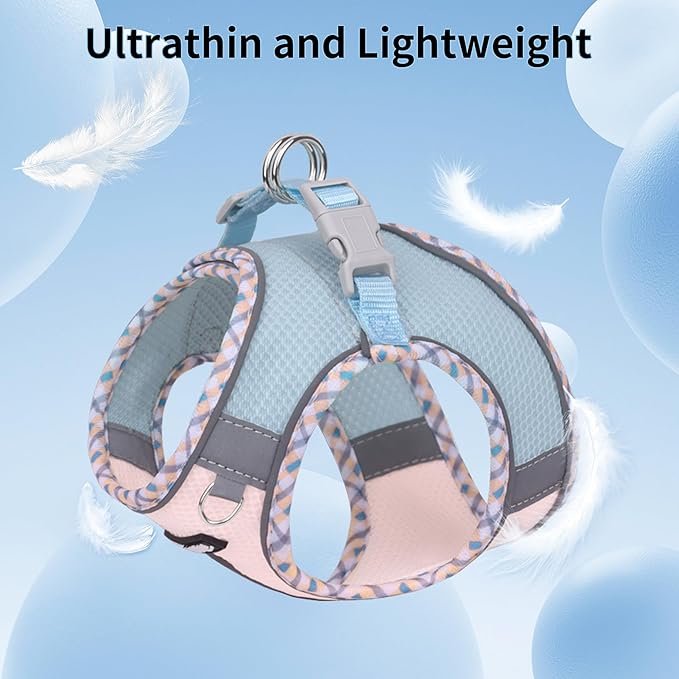 AIITLE XXS Dog Harness & Leash Set - Breathable Reflective No-Choke Small Dog Harness for Teacup Puppies, Indoor/Outdoor Use - Boston Terrier, Maltese, Chihuahua (Blue-Pink, XXS)