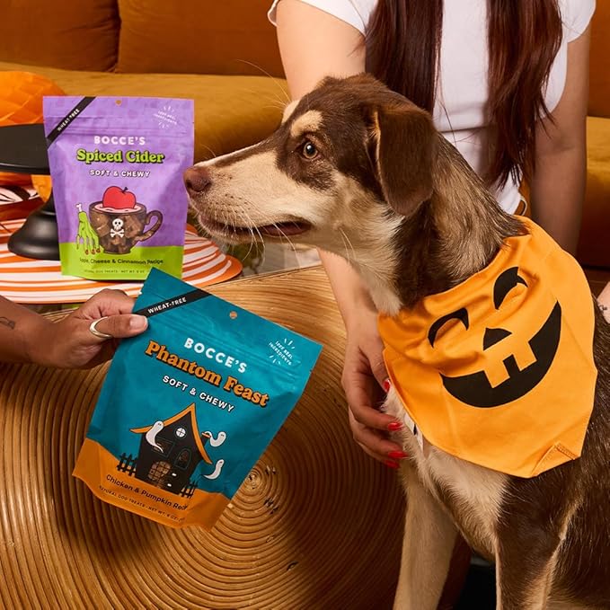 Bocce's Bakery Phantom Feast All-Natural Soft & Chewy Halloween Dog Treats - Wheat-Free Everyday Cookies for Dogs, Made with Real Ingredients & Baked in The USA - Chicken & Pumpkin Flavored (6 oz Bag)