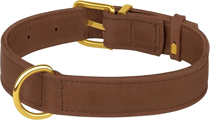 Leather Dog Collar - Heavy Duty Adjustable Soft Padded Pet Collars for Small Medium Large Dogs Breed - Black Green Brown Pink Red Blue (Cognac, S, 9"-12" Neck Fit)