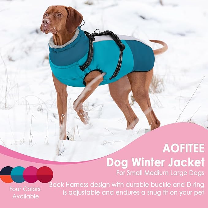 AOFITEE Dog Coat for Small Dogs, Warm Dog Winter Jacket with Harness Built in, Waterproof Small Winter Coat Dogs Reflective Cold Weather Coats for Chihuahua, Yorkshire, Turquoise XS