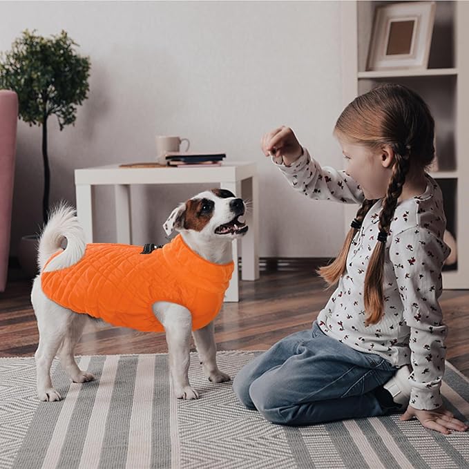 Kuoser Medium Dog Coat | All-Breed Thermal Wear with Windproof Layer | Reflective Tabs Enhance Visibility in Snow, Snap Buckles Simplify Dressing, Orange L
