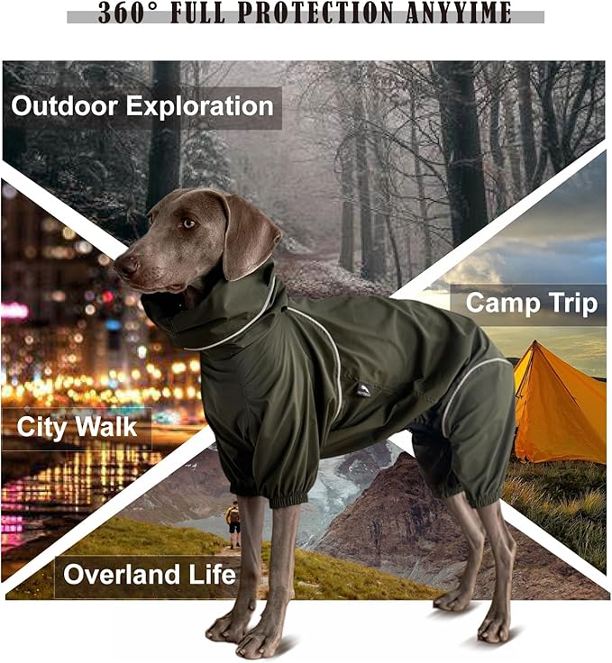 Dog Lightweight Windbreaker, Dog Outdoor 4-Legs Jacket, 0.5 lbs,Durable Water Repellent, Hooded, Easy on/Off with Collar and Harness, Reflective, Packable,Dark Olive (Medium)