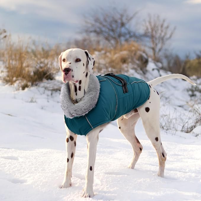 Lelepet Warm Dog Coats for Small Dogs Waterproof Dog Winter Jacket Reflective Pet Fleece Vest Windproof Cold Weather Coats with Adjustable Buckle & Leash Hole, Dark Green, S