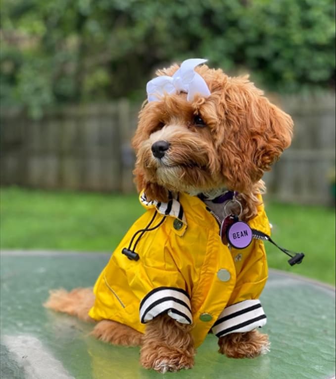 Morezi Dog Zip Up Raincoat with Reflective Buttons, Rain/Water Resistant, Adjustable Drawstring, Removable Hood, Raincoats with Legs 8lbs to 80lbs Available - Yellow - XXL