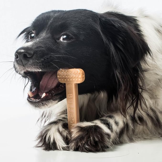 Bullibone Nylon Dog Chew Toy Nylon Bone - Improves Dental Hygiene, Easy to Grip Bottom, and Permeated with Flavor (Bacon, Small - Single)