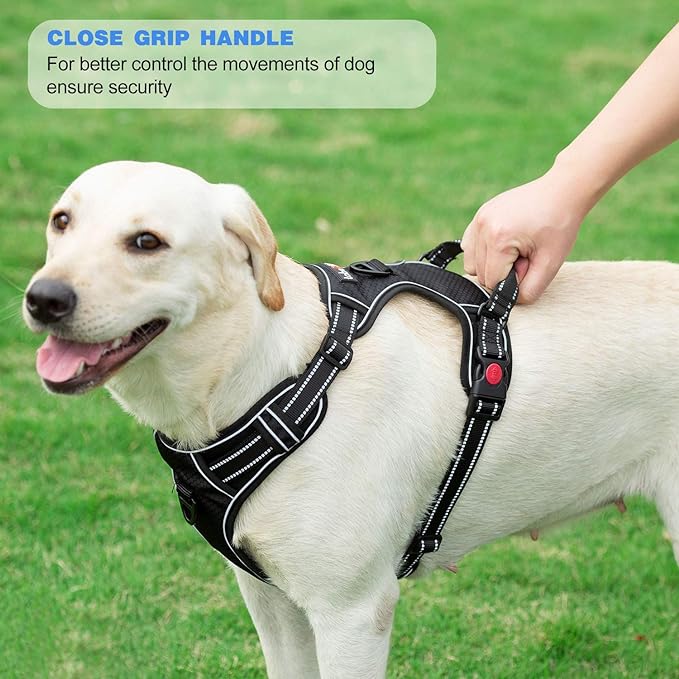 No Pull Dog Harness Adjustable Reflective Oxford Easy Control Medium Large Dog Harness with A Free Heavy Duty 5ft Dog Leash (S (Neck: 13"-18", Chest: 17.5"-22"), Blue Harness+Leash)