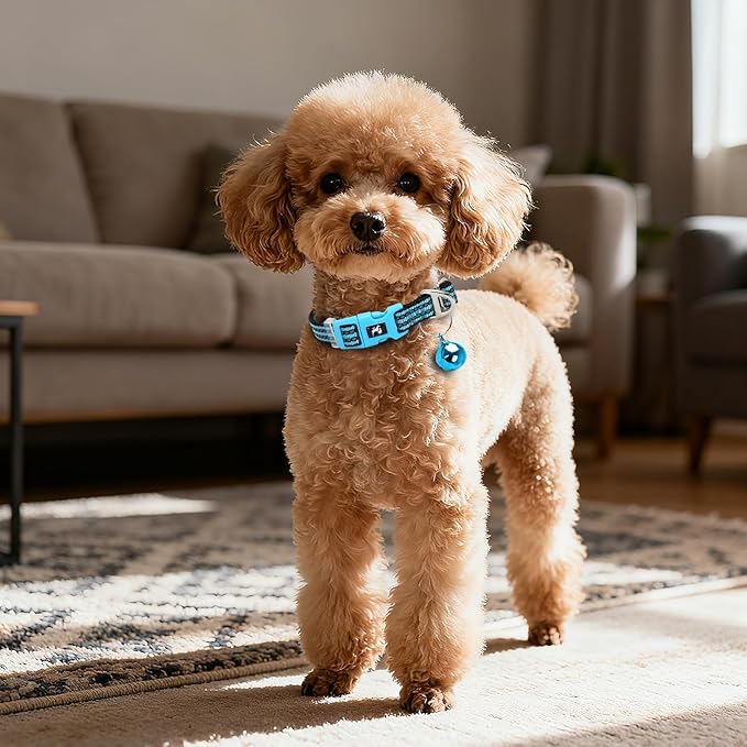 Reflective Dog Collar with Bell - Hypoallergenic Adjustable Nylon Puppy Collar for Night Safety, Soft Comfort Fit Small Dogs & Cats, Blue Small