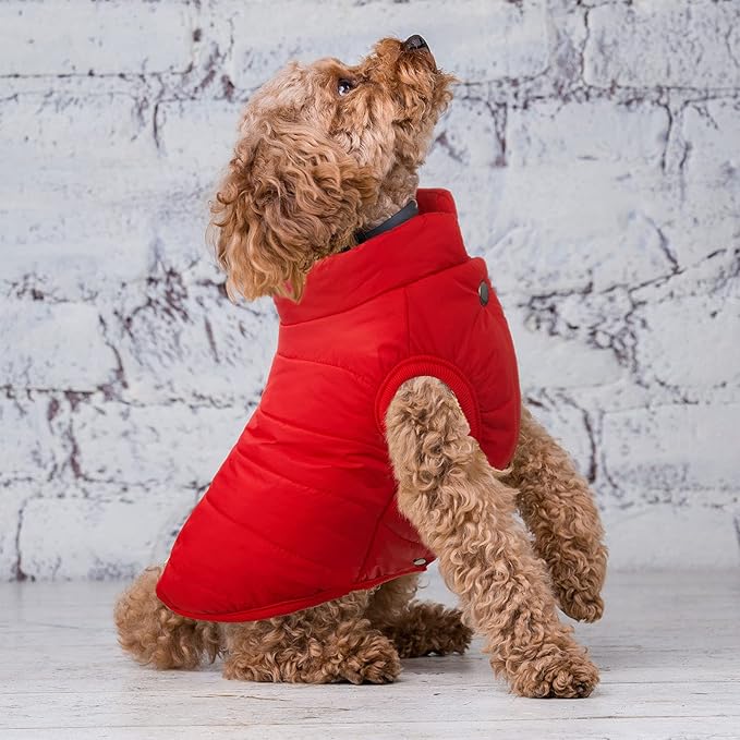 Syhood 2 Pieces Dog Jacket 2 Layers Fleece Lined Dog Jacket Warm Soft Windproof Small Pet Coat for Winter Cold Weather(L,Navy,Red)