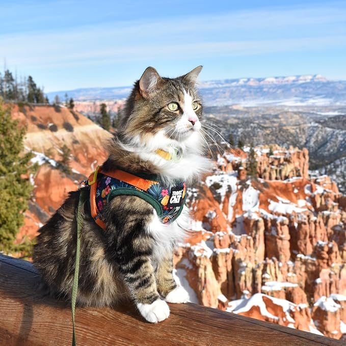Travel Cat Harness and Leash Set - Adjustable Fit Mesh Cat Harness and Reflective Strap - Comfort Walking Vest for Kitten for Outdoor Walking, Hiking (Medium, Hawaiian)