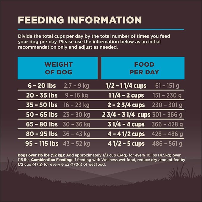 Wellness CORE Dry Dog Food, Wholesome Grains, High Protein, Natural, Ocean Whitefish & Herring Recipe, (4-Pound Bag)