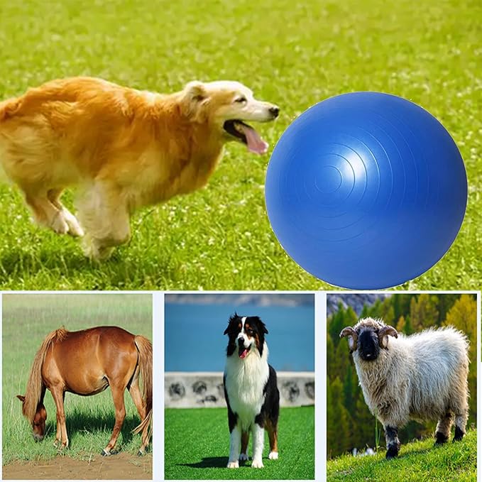 Herding Ball for Dogs:25 inch