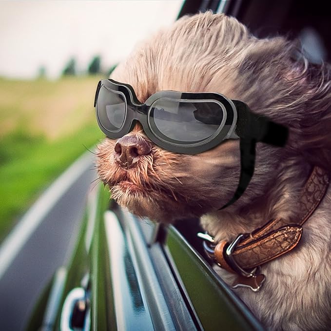Namsan Dog Goggles Small Breed, Anti-UV Sunglasses for Dogs Small Breeds, Windproof Riding Dog Eye Protection, Yorkie Glasses with Elastic Straps, Easy Put-on/Adjustable, Bright Black