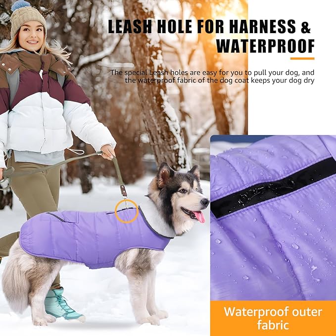 iBuddy Dog Winter Jackets with Fleece Vest,Waterproof Warm Dog Snow Jacket Windproof, Reflective Adjustable Pet Dogs Cold Winter Coat for Large Dogs Girl Boy