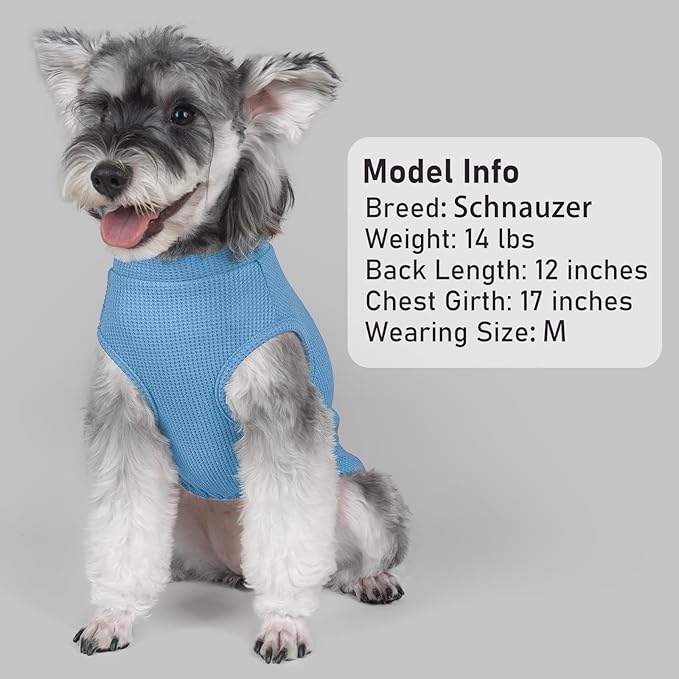 KYEESE 2Pack Waffle Dog Shirts for Small Dogs Stretchy T-Shirts Lightweight Tank Top Sleeveless Striped Vest Breathable Cat Tee, Medium, Blue+Striped