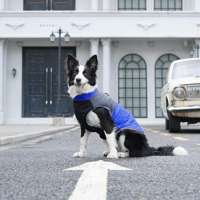 Warm Fleece Dog Coats for Small Dogs,D-Rings Waterproof Puppy Jacket for Cold Winter,Blue S