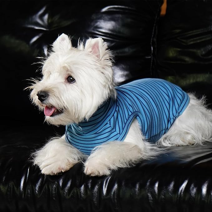 ROZKITCH Dog Sweaters for Medium Dogs Boy Girl,Soft Stretchy Turtleneck Pullover for Medium, Warm Winter Coat for BlueStripe M