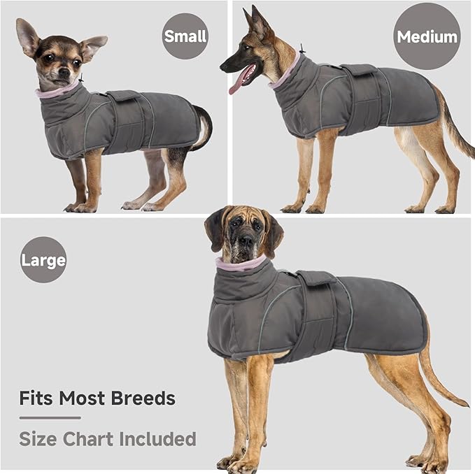 Dog Winter Coat for Small to Large Dogs(XS-XXXL)– Waterproof Windproof Fleece Lined Jacket with Reflective Trim,Pet Vest with Adjustable Buckles, Machine Washable Grey XS