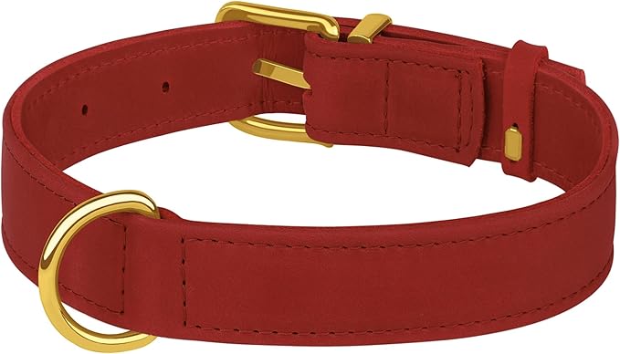 Leather Dog Collar - Heavy Duty Adjustable Soft Padded Pet Collars for Small Medium Large Dogs Breed - Black Green Brown Pink Red Blue (Red, S, 9"-12" Neck Fit)