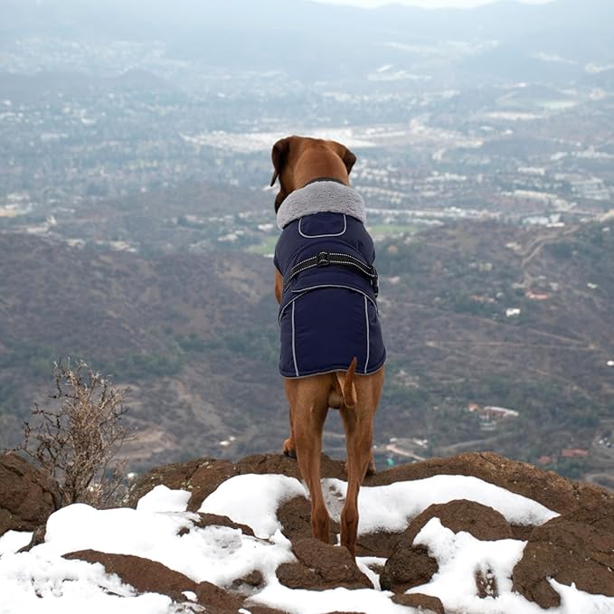 Lelepet Warm Dog Coat Waterproof Dog Jacket for Large Dogs Reflective Fleece Vest with Adjustable Buckle Hook & Loop Windproof Cold Weather Coats for Small Medium Large Dogs, Navy Blue, L