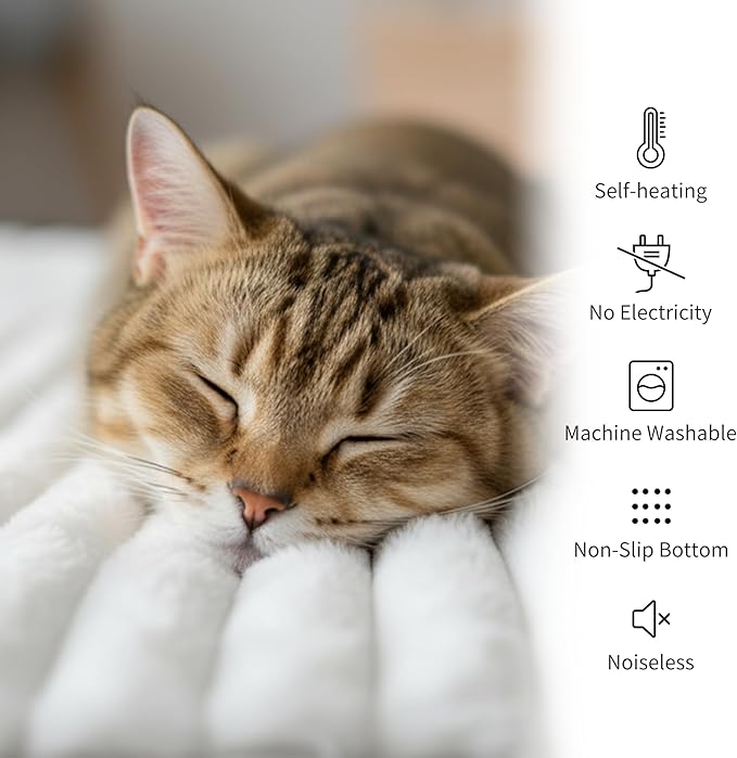 NWK Pack of 4 Fluffy Self Warming Cat Mat, Cat Blanket, Thermal Dog Mat, Washable, Non-Slip Bottom for Sofa & Crate & Kennel & Car Seat (Creamy White, X-Large (43.5'' X 27.5'' X 0.7''))
