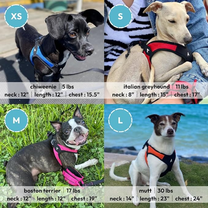 Gooby Escape Free Easy Fit Harness - Black, Small - No Pull Step-in Patented Dog Harness with Quick Release Buckle for Small to Medium Dogs