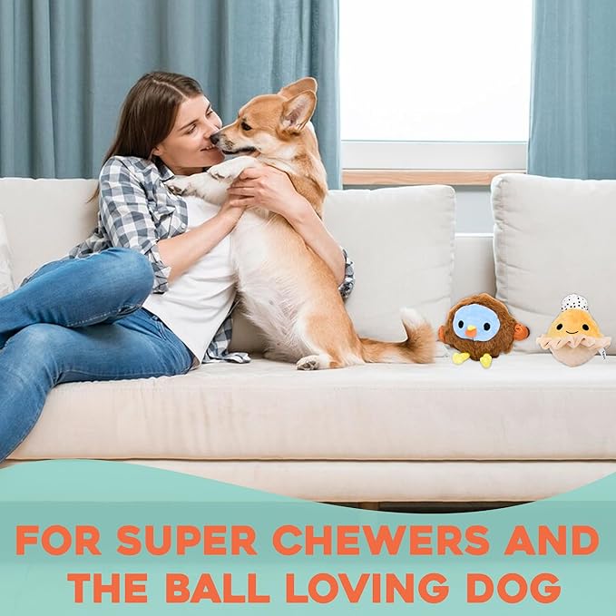 Flourish Pets 2 in 1 Multi-Layer Chew Toy for Active Dogs | Non-Toxic BPA Free Double Stitched Soft Fabric Exterior Dog Toys | Long-Lasting Dog Plush Toys β Turkey + Pumpkin (4β)