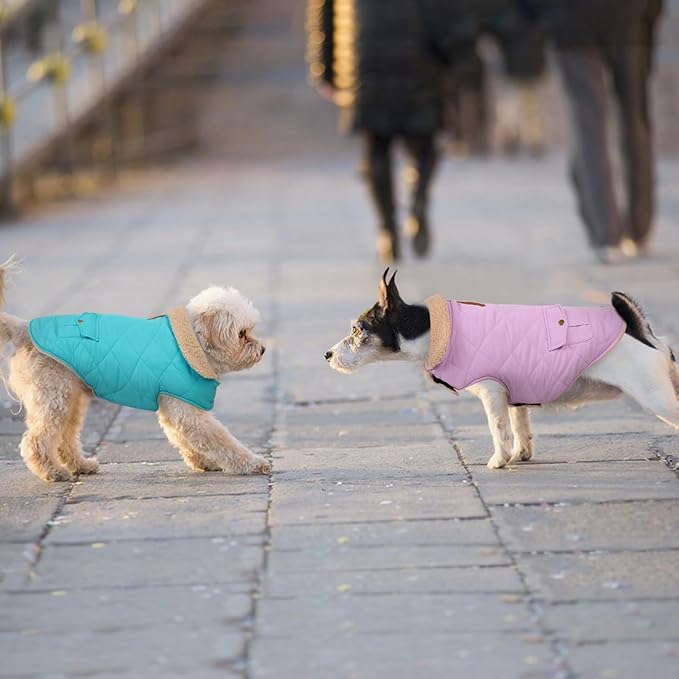 Winter Coat for Medium Dogs, Dog Plaid Jacket, Pets Coat for Cold Weather, Windproof Warm Garments, Pet Thickened Outfits Indoor Outdoor, Lilac M