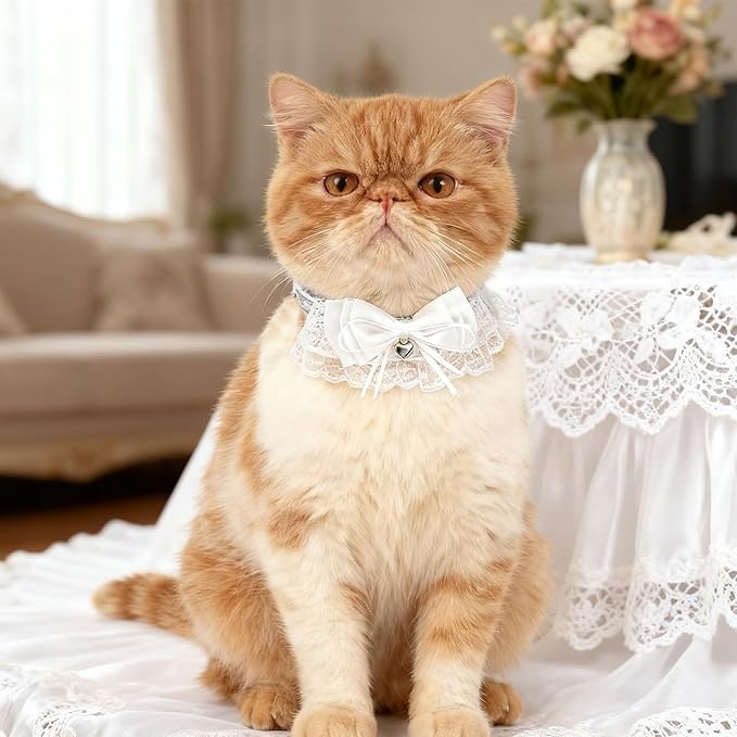 EXPAWLORER Cat Collar Breakaway,Adjustable Soft Lace Cat Collars for Girl Cats with Heart Accessory,Safety Quick Release Cute Pet Collar for Kitten,Small Dog