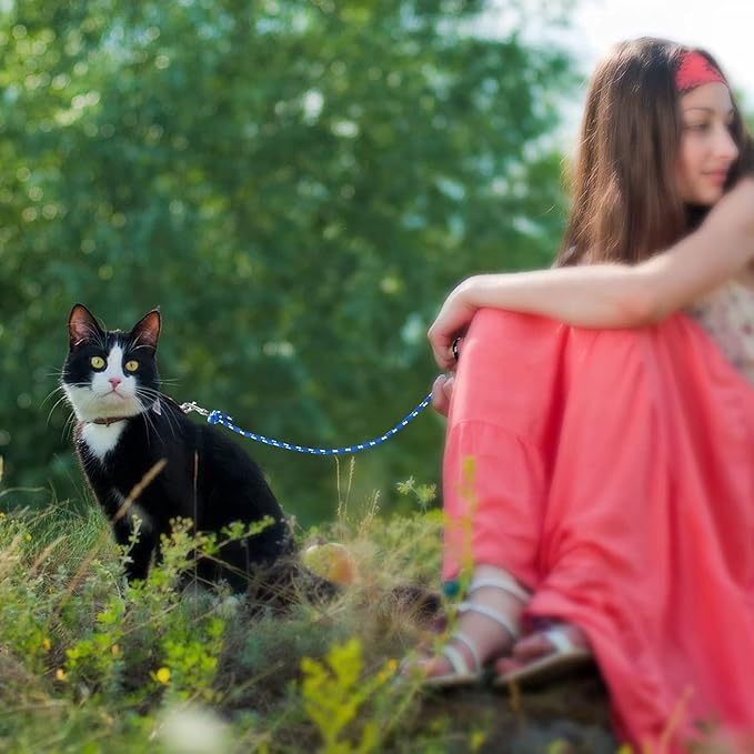 Rypet Reflective Cat Long Leash - 50 FT Escape Proof Walking Leads Yard Long Leash Durable Safe Personalized Extender Leash Traning Play Outdoor for Kitten, Puppy, Rabbit and Small Animals