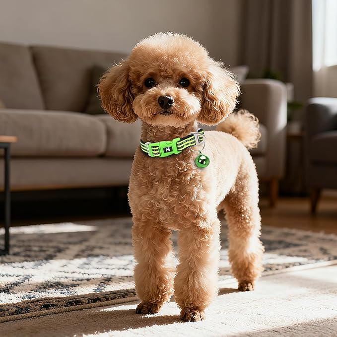 XXS-XS Dog Collar with Bell Reflective - Adjustable Tiny Small Breed Collar for Girl Boy Chihuahua Puppies, Night Walk Safety Accessory(Green XS)